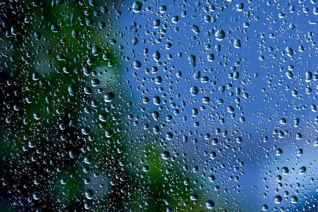 Lluvia | Imagen de archivo.