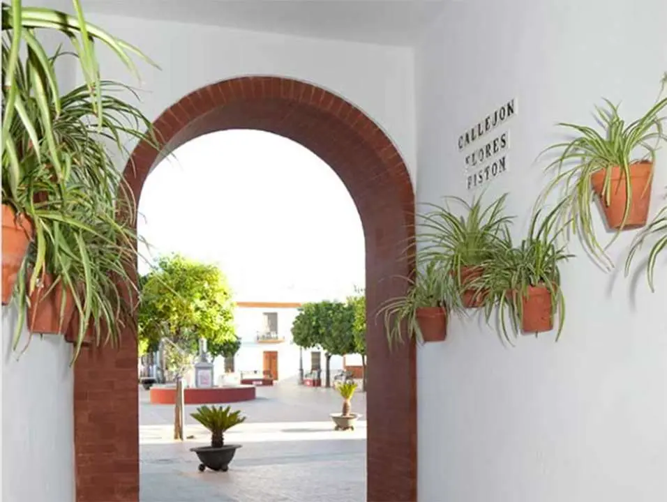 Ca&ntilde;ada Rosal