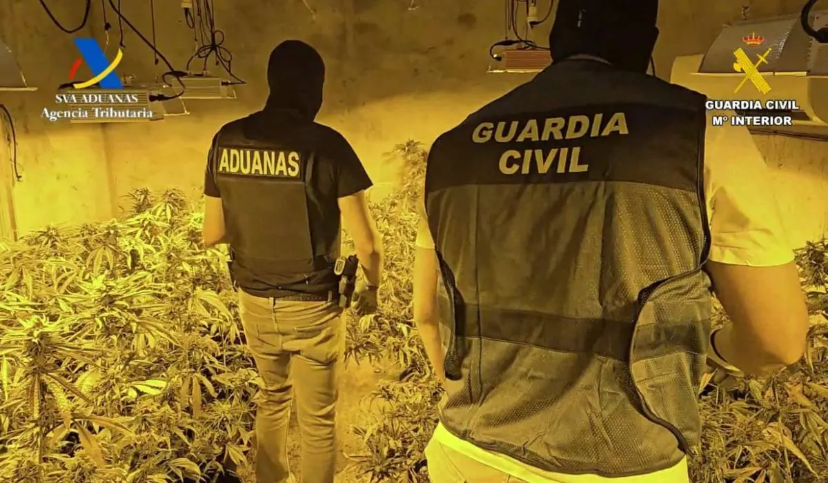 Agentes de la Guardia Civil y del Servicio de Vigilancia Aduanera durante una de las intervenciones en Osuna, donde se desmantelaron cuatro cultivos indoor de marihuana.