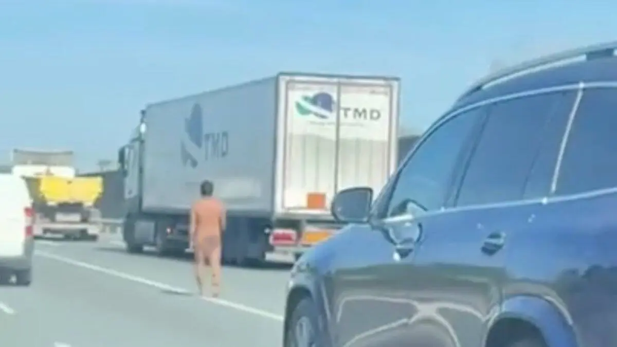 Imagen del hombre caminando desnudo por la SE-30, compartida por El Correo de Andaluc&iacute;a y Aionsur.