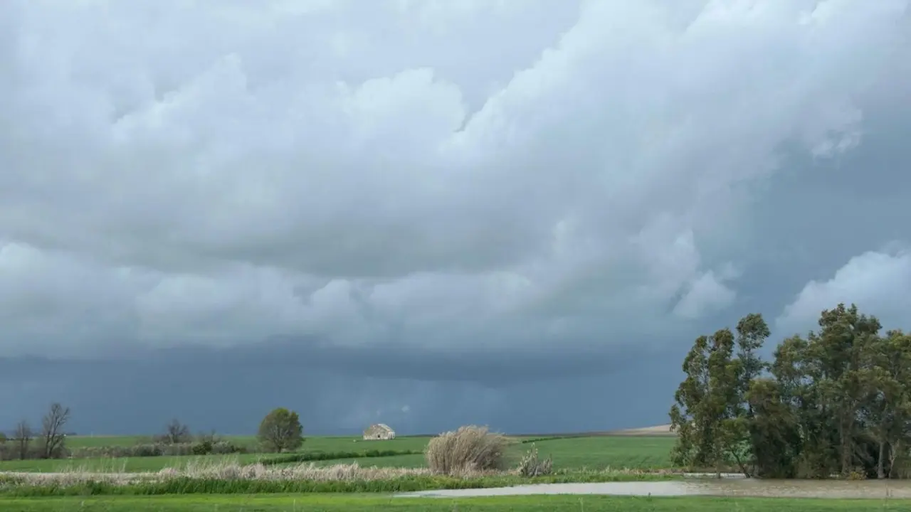 Imagen de archivo de El Pespunte capturando la lluvia sobre la campi&ntilde;a sevillana.