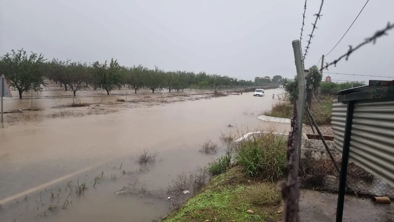 La Junta aprueba obras para mejorar el drenaje en la A-8080 tras las reiteradas inundaciones entre Guillena y Torre de la Reina