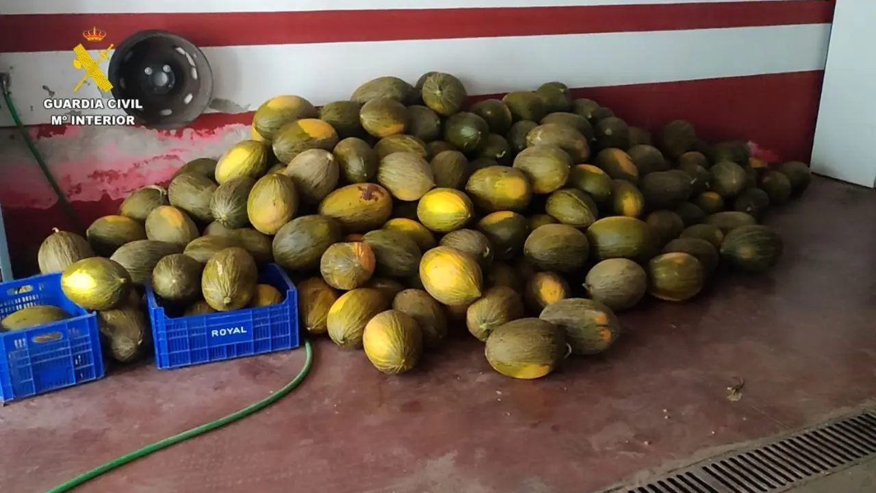 Melones. Imagen de la Guardia Civil.