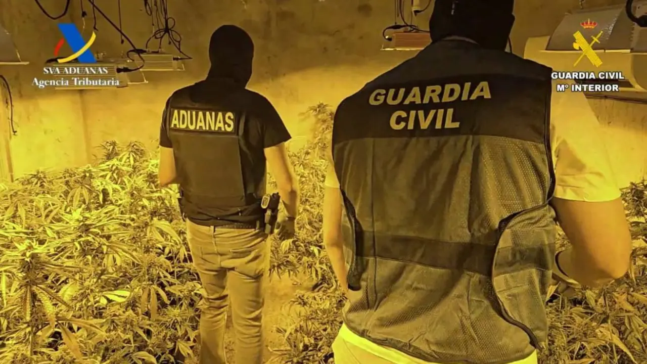 Agentes de la Guardia Civil y del Servicio de Vigilancia Aduanera durante una de las intervenciones en Osuna, donde se desmantelaron cuatro cultivos indoor de marihuana.