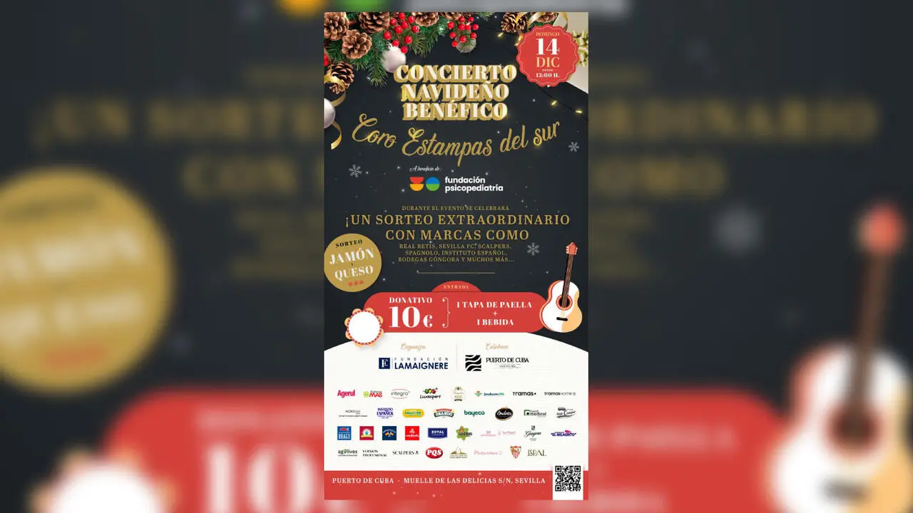 Cartel del concierto navide&ntilde;o ben&eacute;fico.