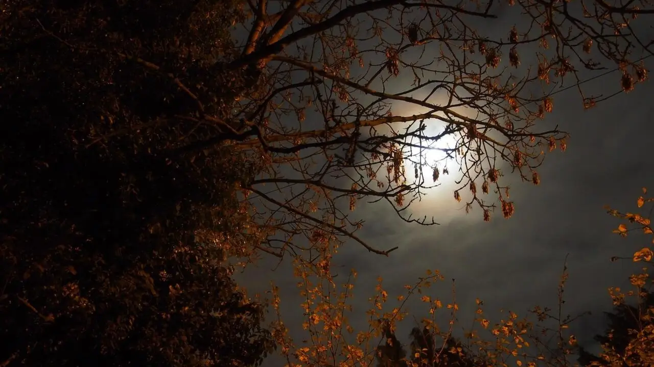 Imagen de archivo 112. Noche.