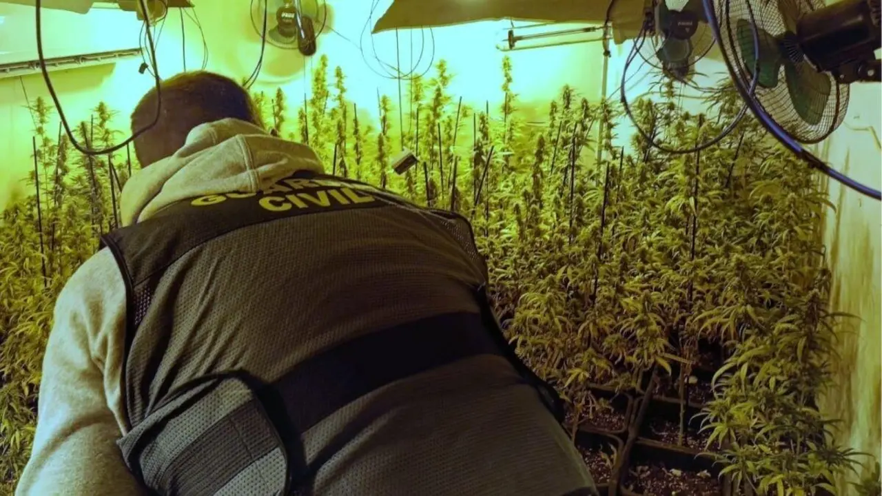 Guardia Civil en la plantaci&oacute;n de Las Cabezas de San Juan.