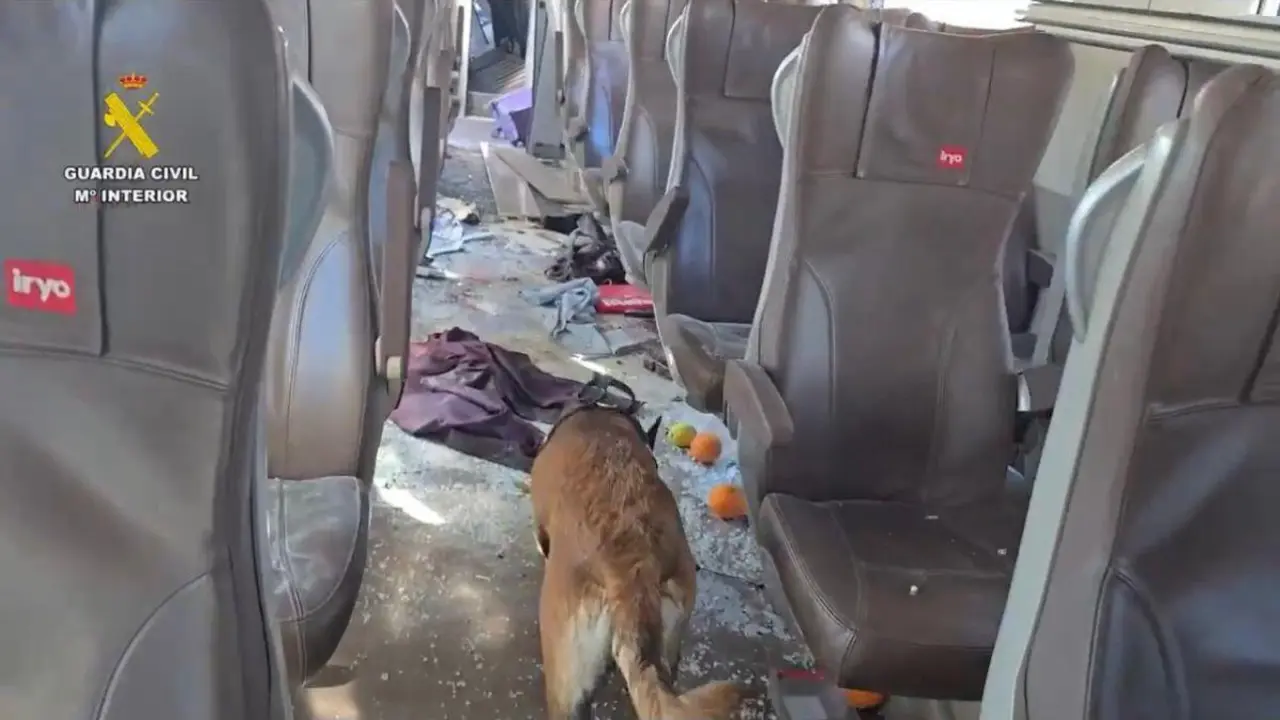 La la Guardia Civil trabaja con perros especializados en el interior del tren siniestrado en Adamuz (C&oacute;rdoba).