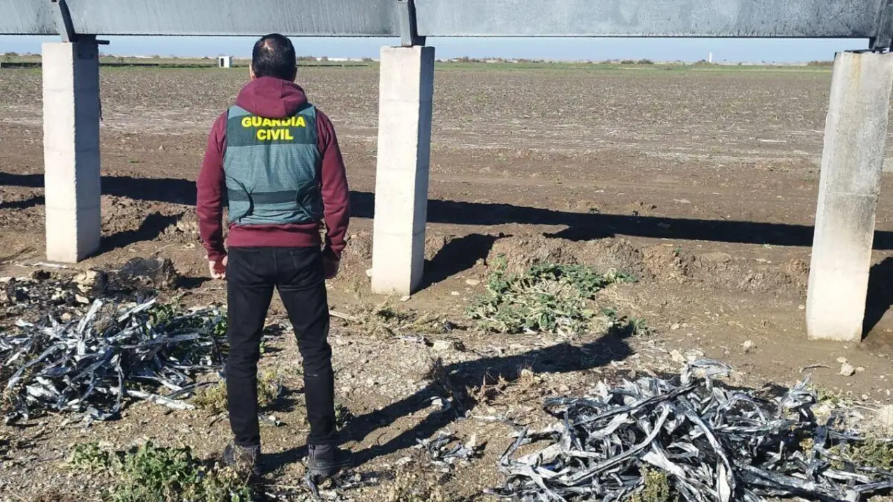 Agentes de la Guardia Civil durante una de las actuaciones de la operaci&oacute;n.