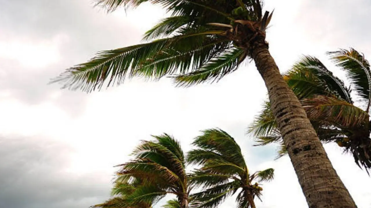 Viento y lluvia // Imagen de archivo.