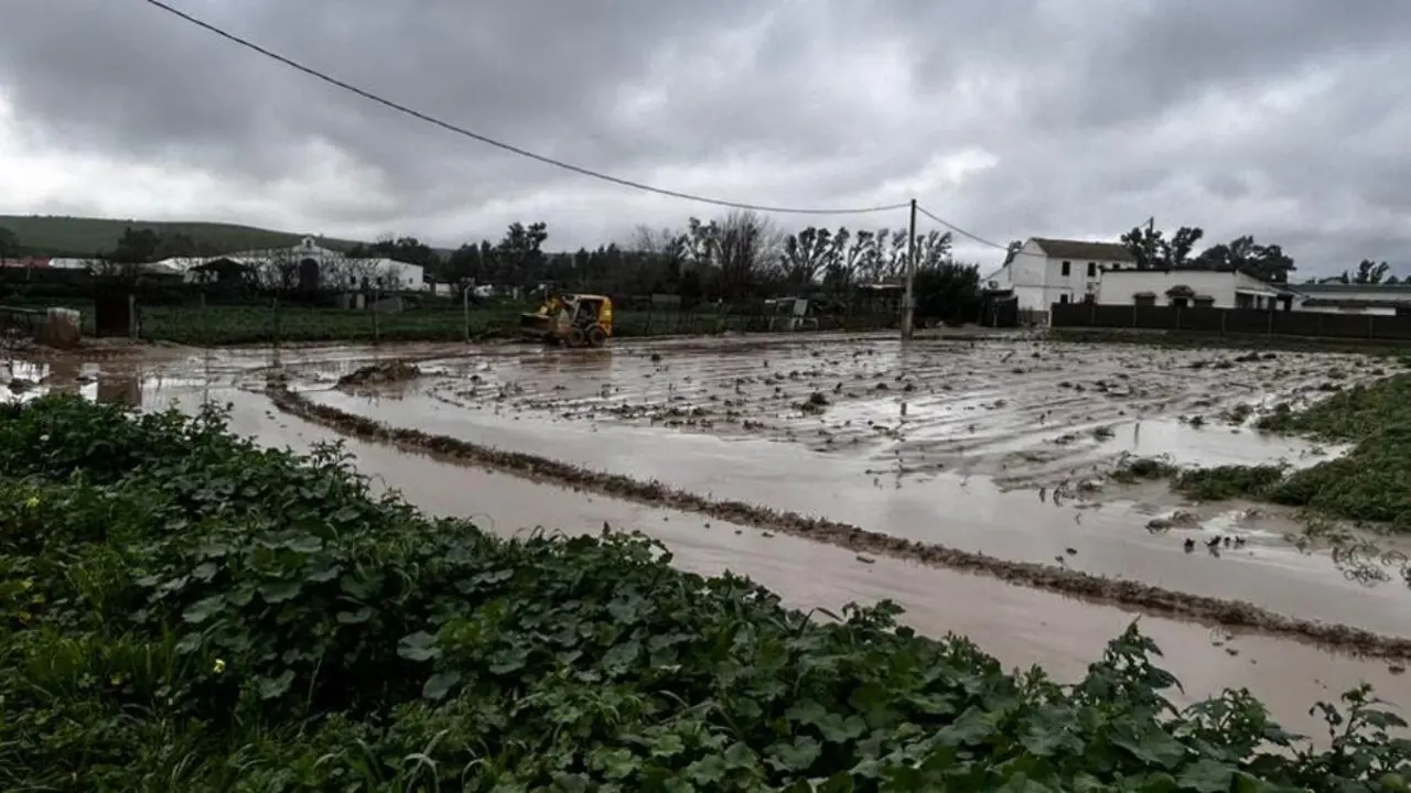Lluvia en Isla del Vicario, &Eacute;cija. Imagen compartida por el Ayuntamiento.