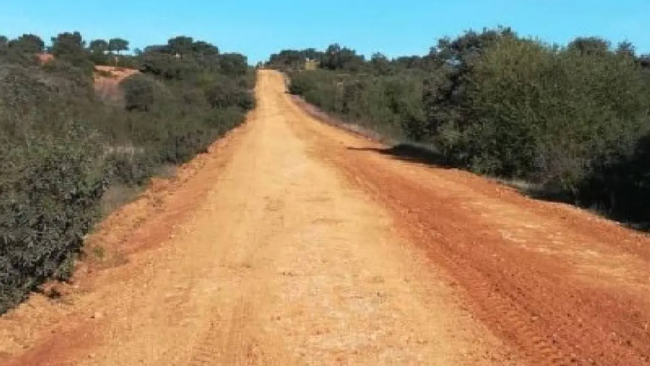Camino rural de Guillena.