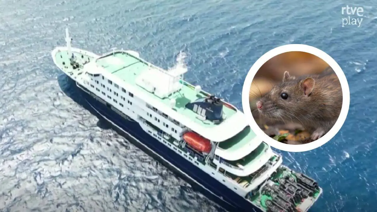 Imagen del crucero afectado. RTVE.