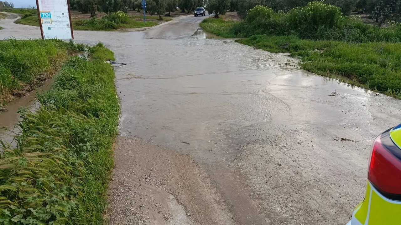 Inundaciones en la campi&ntilde;a sevillana. Foto: C.G.