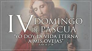 Evangelio y Reflexión del IV Domingo de Pascua, por D. Raúl Moreno
