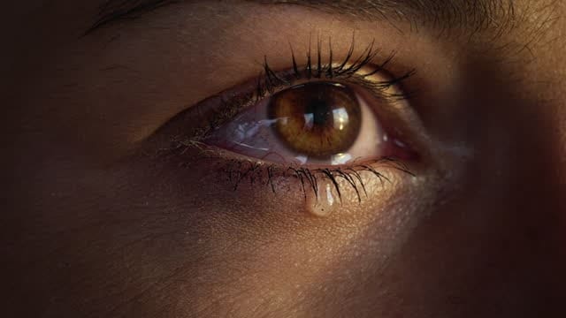 Female human eye details. Studio shot