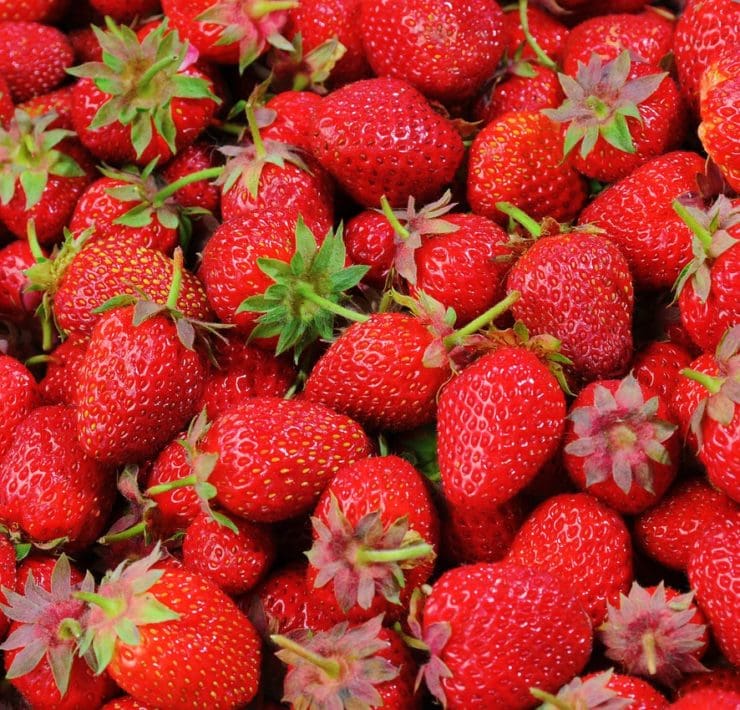 strawberries-528791_1280