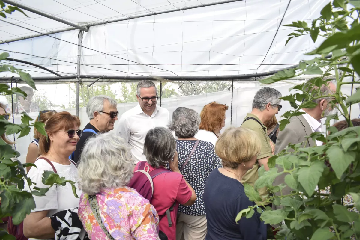 Día del Tomate de Los Palacios-Visita invernaderos