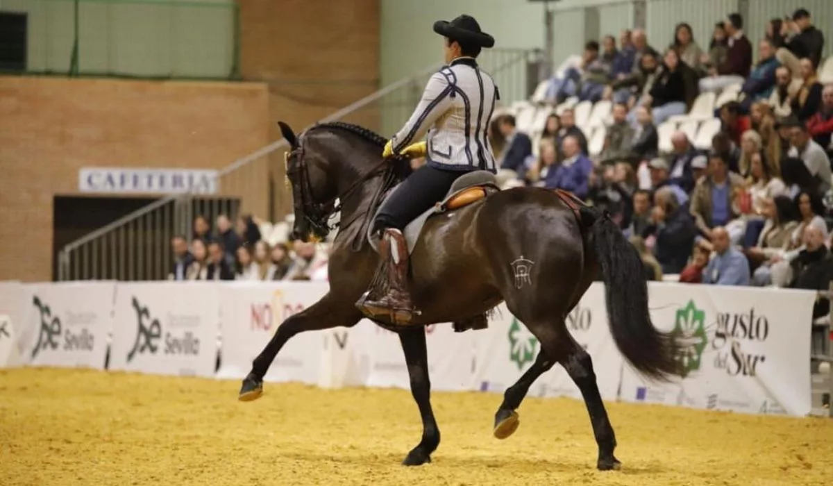 José Manuel Rodríguez Pinguito durante su destacada participación en SICAB, donde se coronó campeón en la prueba superior de Alta Escuela.